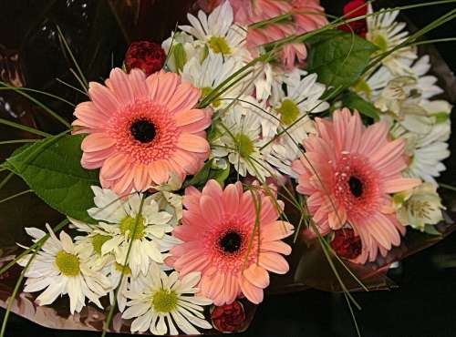 some lovely pink gerbera daisies and other flowers in a bouquet.