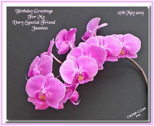 Birthday Wishes With Flowers. Special Birthday Greetings